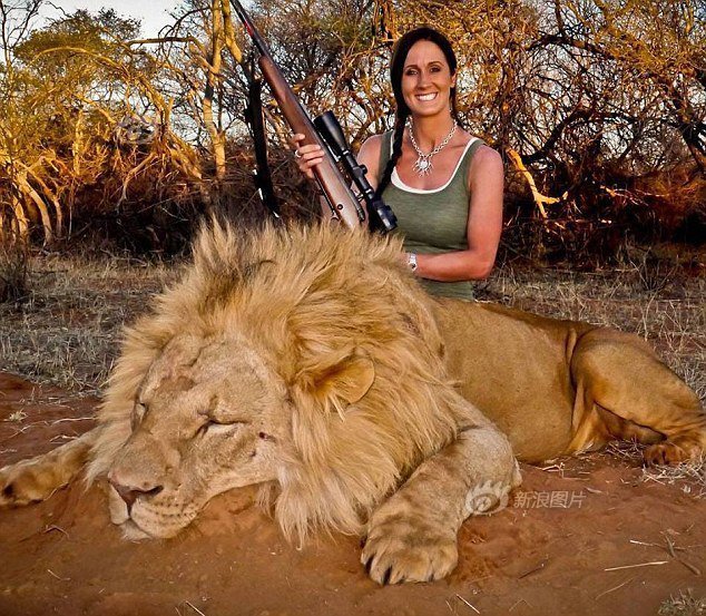 英女主持人网晒南非狩猎照引愤怒