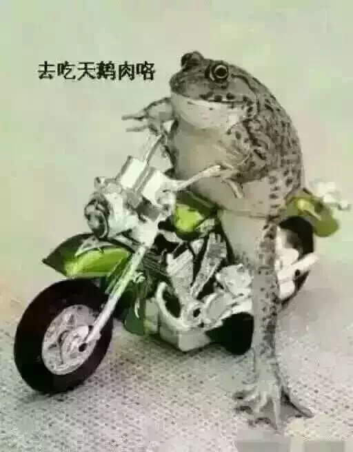 不思进取,坐井观天,是负能量; 而癞蛤蟆思想前卫,想吃天鹅肉有远大