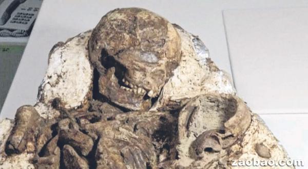  出土的“安和阿嬷”化石属于新石器时代，她临死前深情款款凝视着婴儿的姿势令人动容。（路透社）