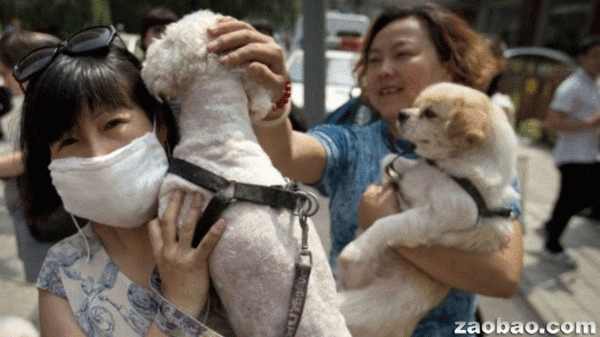  每年在玉林举办的狗肉节受到广泛批评。