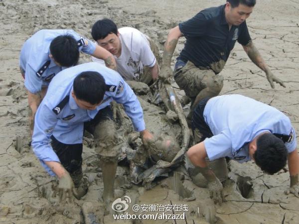 安徽:一拾荒老人被淤泥困住 民警徒手挖泥将其救出【5】