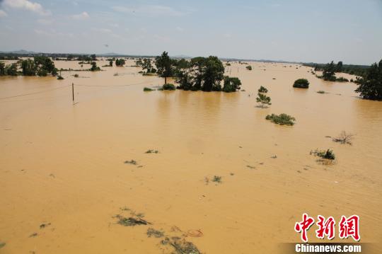 数十栋楼房的一楼已基本被淹没，村中道路已成汪洋一片。 王剑摄