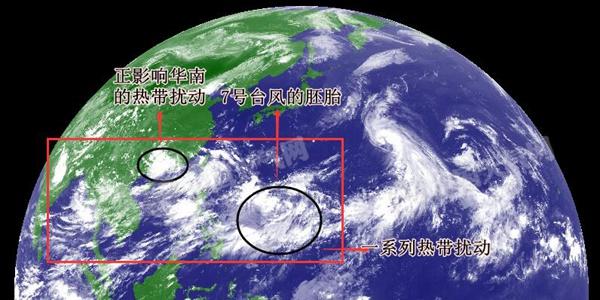 目前西北太平洋上有多个热带扰动。（底图为12日15时向日葵8号卫星云图）