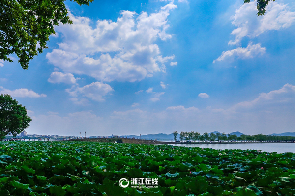 W020160829544864691260.jpg W020160829544864691260.jpg