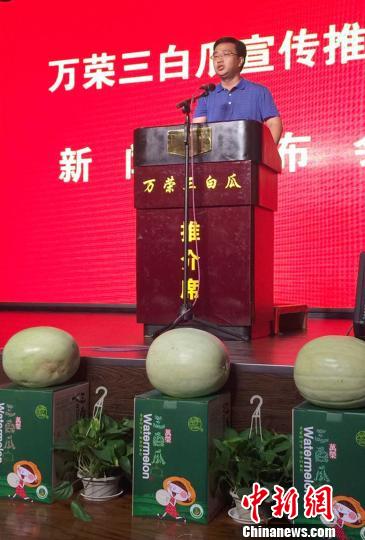 万荣县县长李永辉宣传推介三白瓜。 任丽娜摄