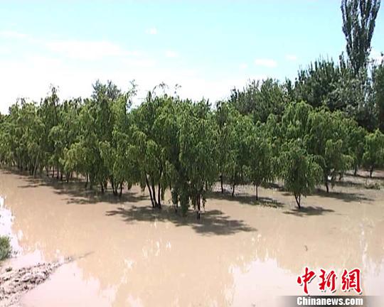 新疆南部多地入秋以来降雨超历史极值农作物受灾
