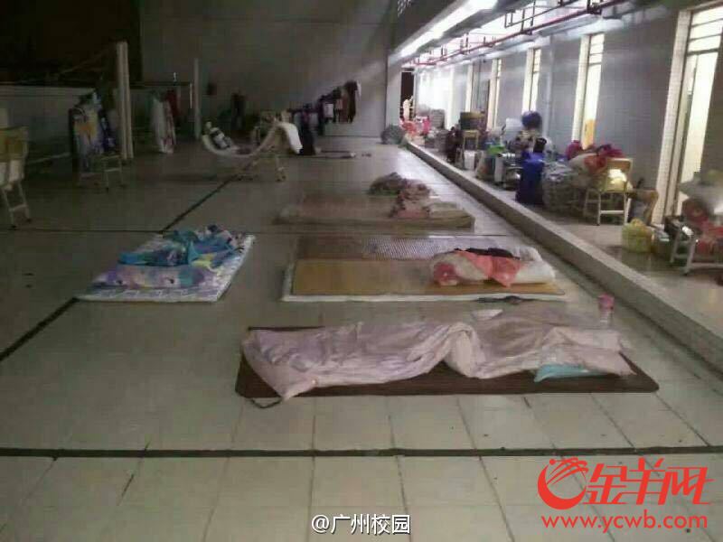 广东财经大学一宿舍楼甲醛超标200多学生集体露宿校园