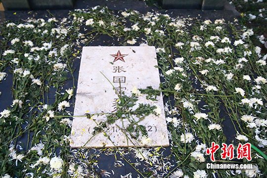 10月7日，在重庆市渝中区菜元坝火车站附近，一座烈士墓上面的花草被踩坏。 中新社发苏志刚摄图片来源：CNSPHOTO