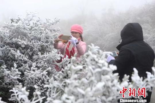 广东迎来今冬第一场冰雪（图）