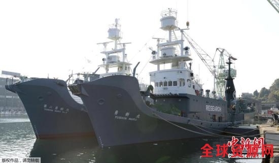 当地时间12月1日，日本下关港市，日本科研捕鲸船队从山口县下关港出发前往南极海域。