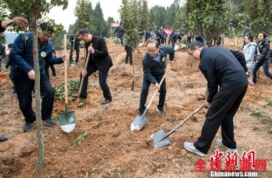 四川绵阳设立以大熊猫保护等为目标的公募专项基金