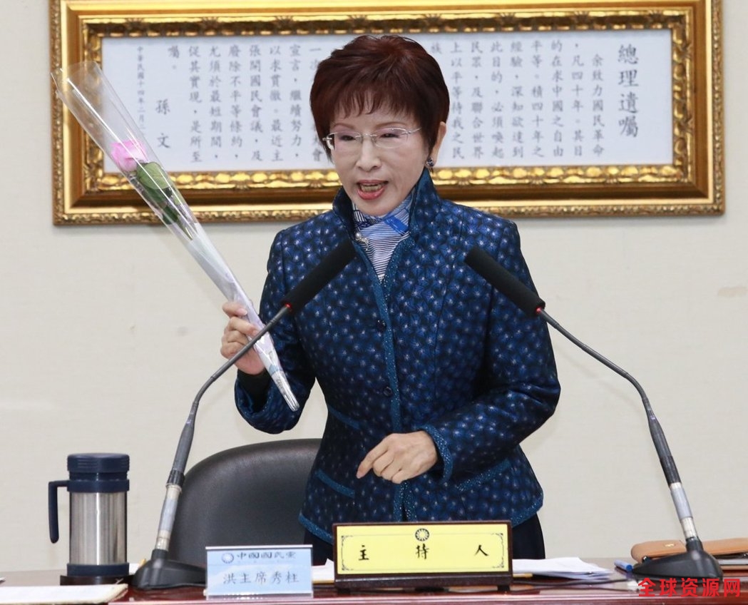 国民党主席洪秀柱。（图片来源:台湾《联合报》）