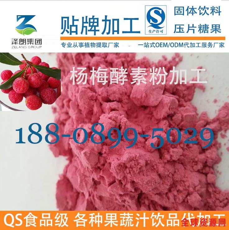 杨梅酵素粉