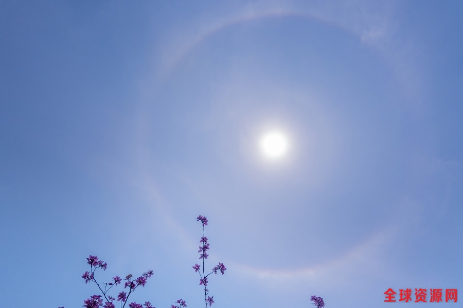 太阳周围镶金边 13日柳州出现日晕奇观(图)