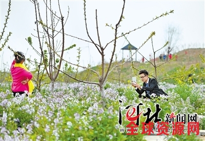 4月10日，京南花谷小镇内，来自北京的游客宋先生（右）正在给朋友拍照。