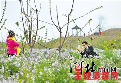 4月10日，京南花谷小镇内，来自北京的游客宋先生（右）正在给朋友拍照。