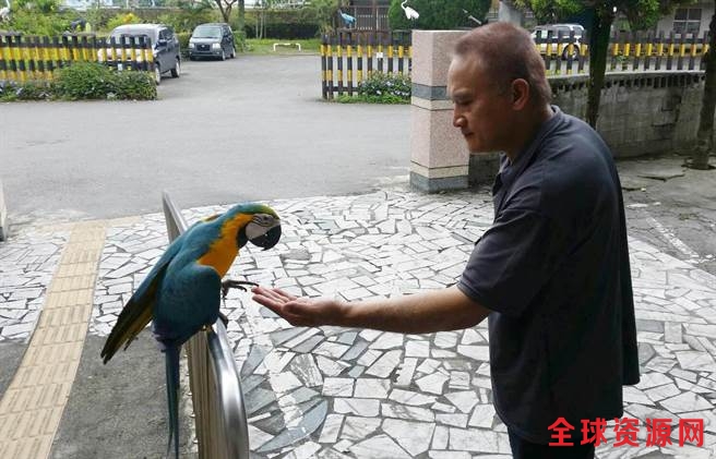  聪明的琉璃鹦鹉，逃到派出所向警察求救。（图片取自台媒）