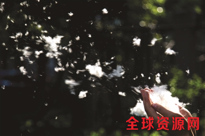 一个女孩把手里的一团柳絮吹散