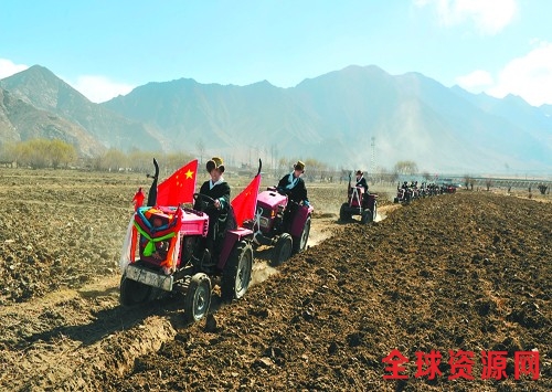 yangnl74309.jpg