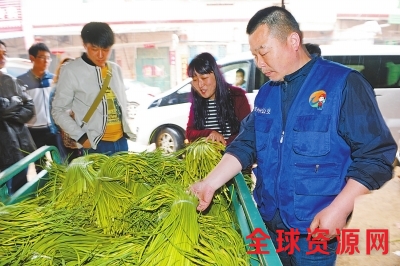 雨中众多热心人田间买蒜薹 蒜农电话被“打爆”