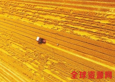 河南麦收过半 已收割4688万亩