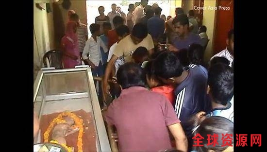 印母牛产下“人面”牛犊 当地村民奉其为神