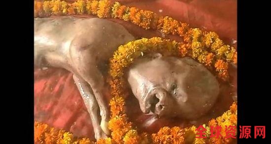 印母牛产下“人面”牛犊 当地村民奉其为神