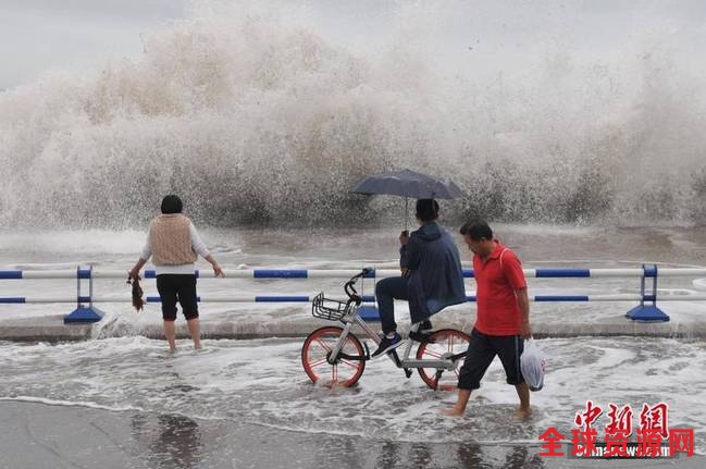 青海掀起10多米高巨浪 海鱼被冲上岸(组图)