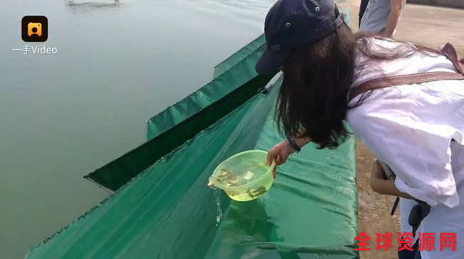 图为放流鱼苗现场。