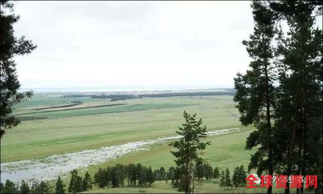 村民在自家院子种菜，竟挖出40万年前象牙(图)