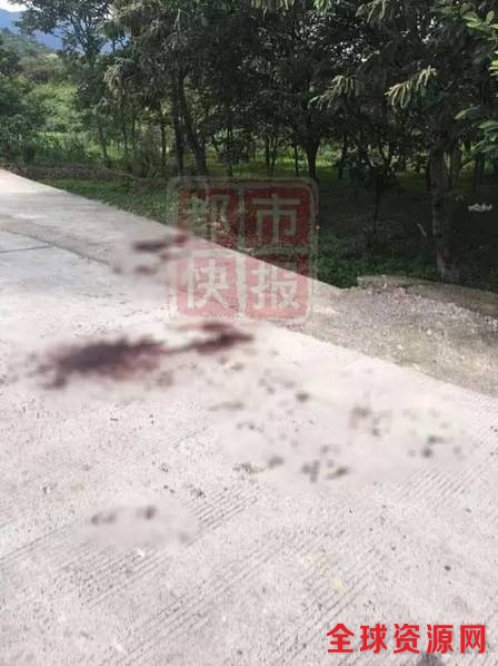 男子当街杀害一对母子 村民都说杀错人了(组图)