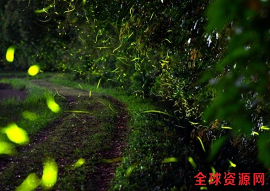 图片来源：日本宫崎县旅游观光部门