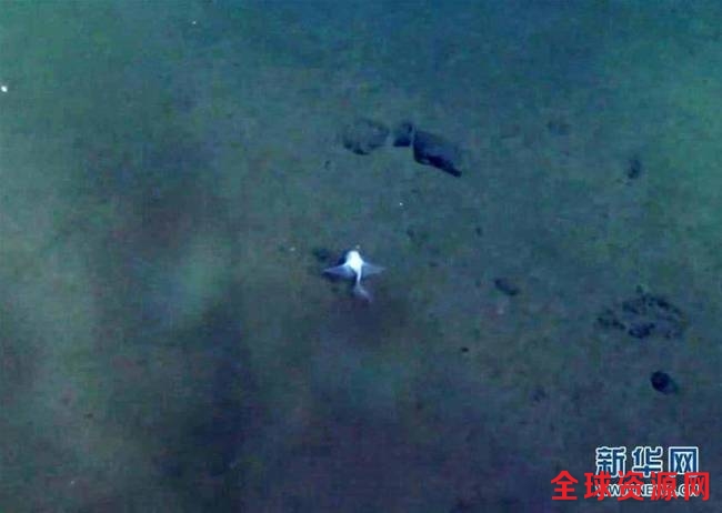 雅浦海沟。