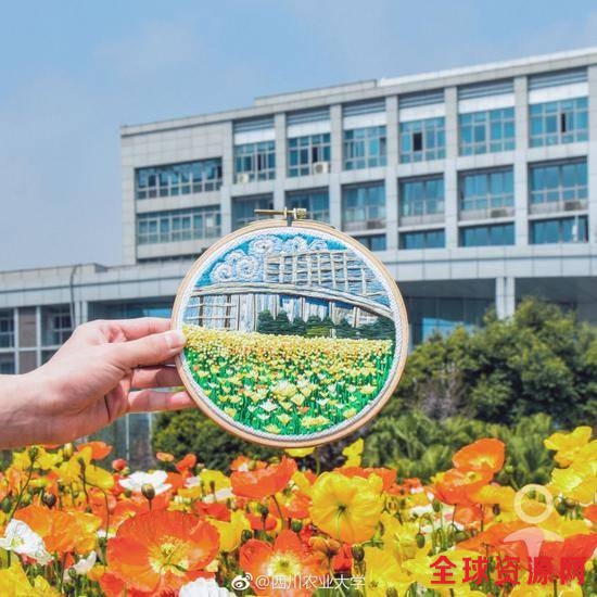 手真巧！成都一高校男生手工刺绣校园美景