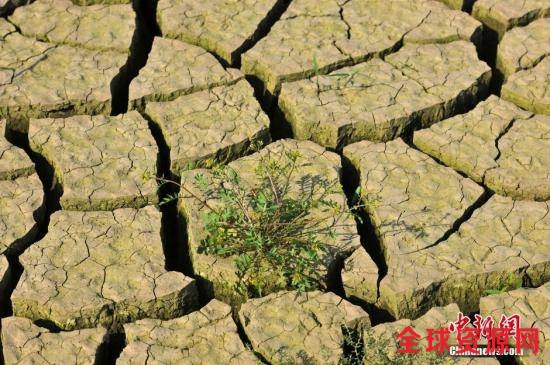 资料图： 图为干旱的土地 中新社发 张磊 摄 图片来源：CNSPHOTO