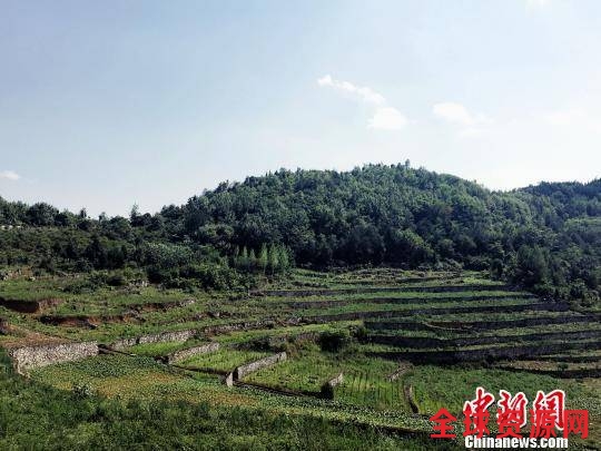 生态治理在贵州：黔西以“绿色思维”建“美丽乡村”