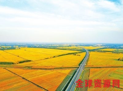 【砥砺奋进的五年】国内名酒也用上了河南小麦