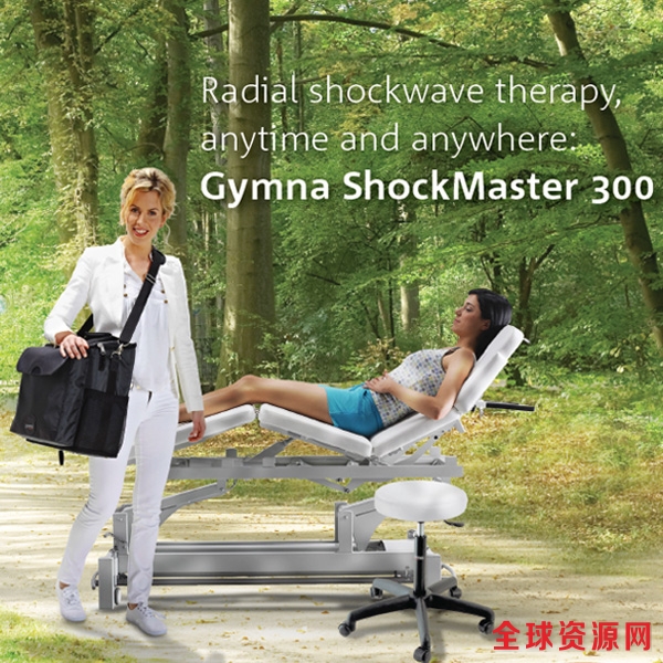 ShockMaster300-3