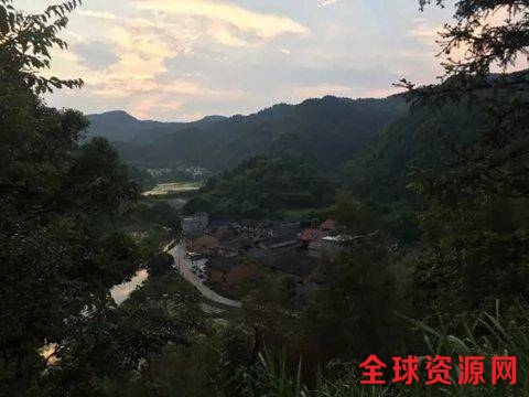 活体萤火虫遭疯狂买卖:单只售价1.2元 2000只起售