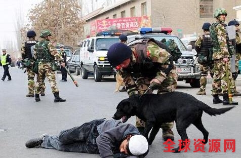 资料图：武警新疆总队某部练兵。中新社发 小密 摄 