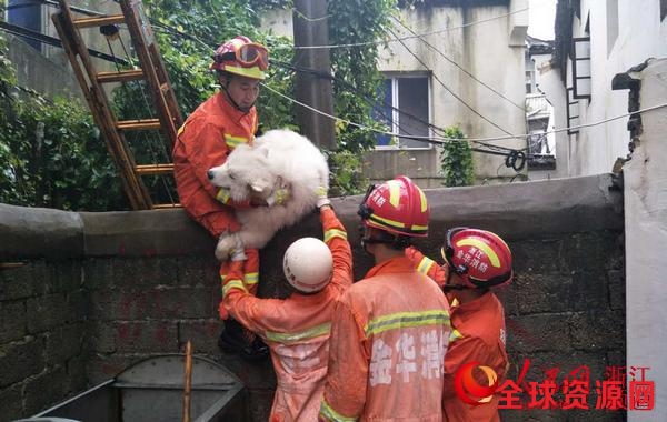 暴雨中闪动的“橙色力量” 直击金华消防抗洪救灾第一线