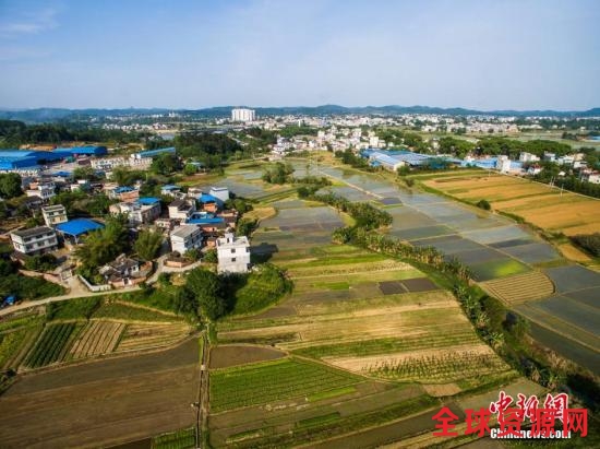 4月18日，天朗气清，在有中国“战时农都”之称的广西柳州市柳北区沙塘镇，农民抓住时机春耕、插秧。当地农人介绍，今年回暖较早、雨水充足，春耕时间较往年提早。抗日战争时期，该地为中央农业实验所、广西大学农学院为首的一批高级科研机构、高等学府所在地，为中国南方唯一仅存的农业试验中心，被称为“战时农都”。图为航拍广西柳州市柳北区沙塘镇耕地，五彩缤纷。 黄威铭 摄