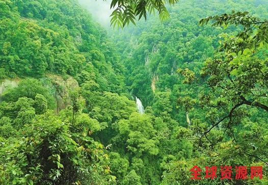 再访中国第一个农民生物多样性保护协会
