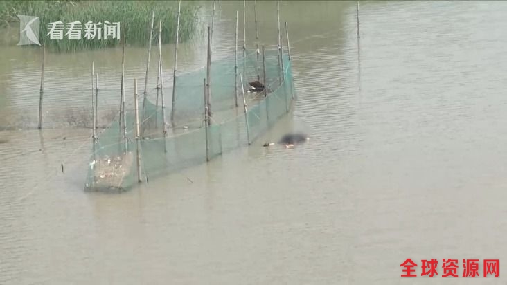 1539d358fd45110c93d23c3c58602467.jpg 傲游截图20170713142915.jpg