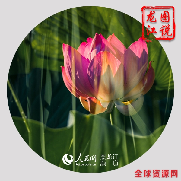 10大廉价长寿食物 竟然每天都在吃 每日吃一个苹果可以大幅降低患老年痴呆症的风险。苹果含有的栎精不仅具有消炎作用，还能阻止癌细胞发展。苹果同时富含维生素和矿物质，能够提高人体免疫力，改善心血管功能。 【详细】 卫生健康|健康图集