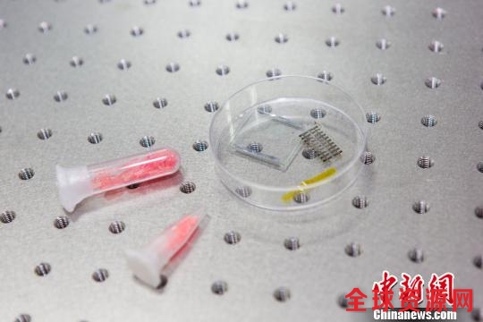 最新发现的分子压电材料意味着中国在该领域走上了世界前列。 杭添摄