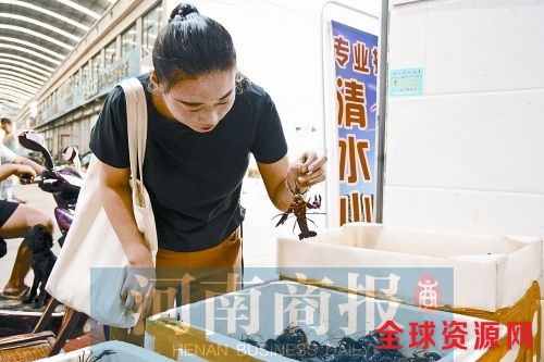 飙升的不只气温 小龙虾价格飙升每斤涨价约10元 