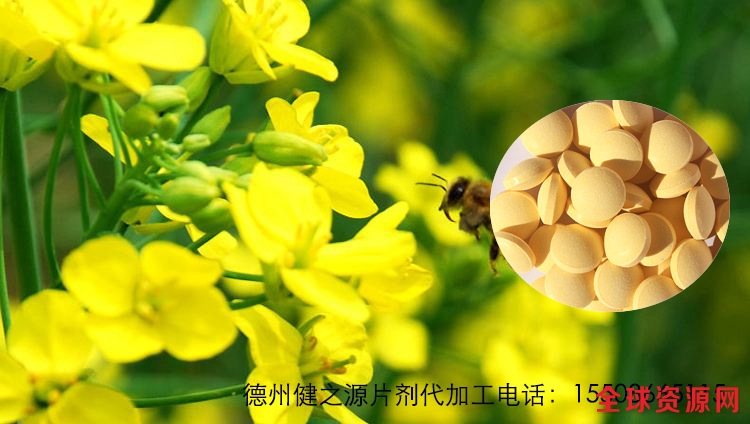 油菜花粉压片加工