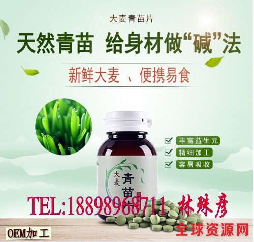 大麦青苗片_conew1