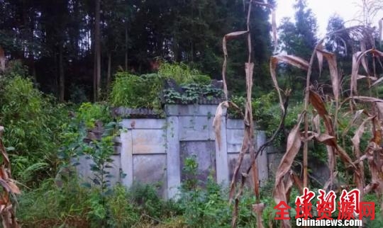 云南一盗墓团伙为盗挖清代古墓驱车百里被抓获